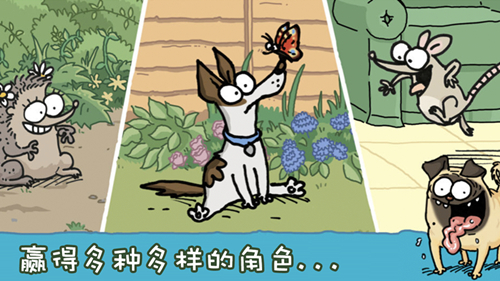 图4.jpg